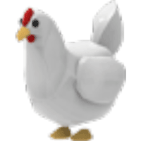 Chicken - Common from Farm Egg